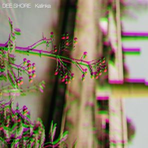 DEE SHORE – Kalinka
