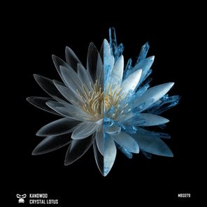 Kandwoo – Crystal Lotus