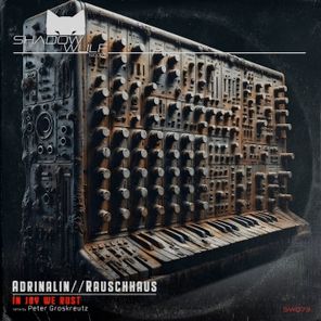 Rauschhaus, Peter Groskreutz – In Joy We Rust