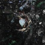 Truncate, Dagga – Work It For Luv