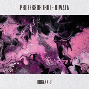 Professor (RO) – Niwata