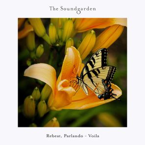 Rebeat, Parlando – Viola