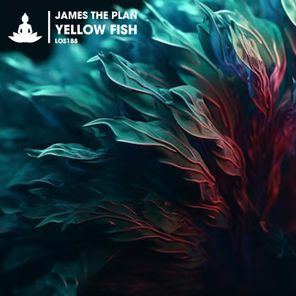 James The Plan – Yellow Fish
