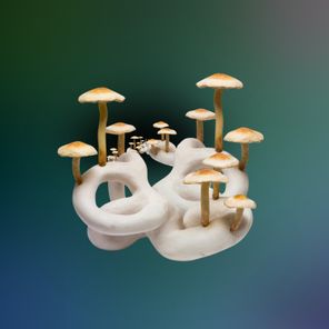 Jynxi – Cubensis