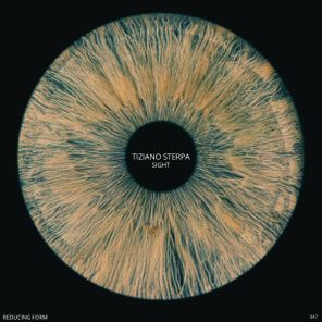 Tiziano Sterpa – Sight