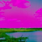 bc9bec47 2827 443c b438 db92632450bc