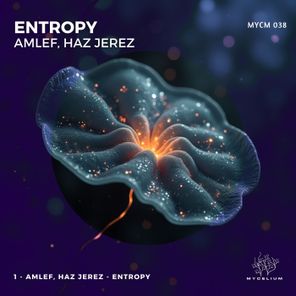 Amlef, Haz Jerez – Entropy