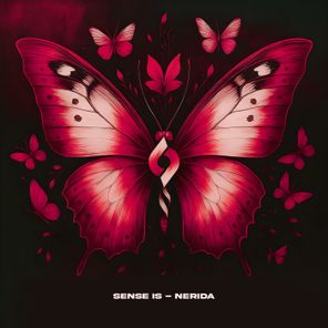 Sense IS – Nerida