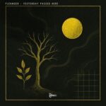 Fleanger – Yesterday Passed Here