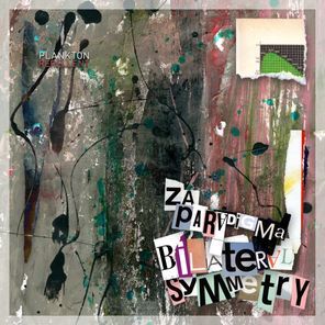 Za__Paradigma – Bilateral Symmetry