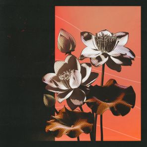 Amoss, Hugh Hardie – Break