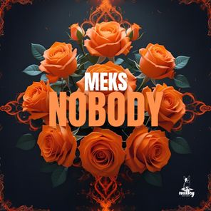 Meks – Nobody
