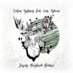 Erhan Yılmaz, Beyhude – Susuz (Beyhude Remix)
