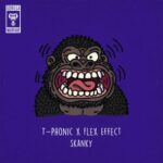 Flex Effect, T-Phonic – Skanky