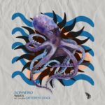 Different Stage, Sonnero – Waves
