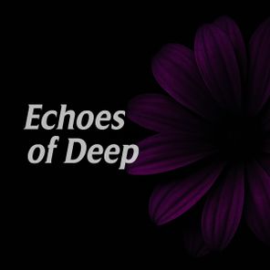 Salade Tomate, Hey Alan! – Echoes of Deep