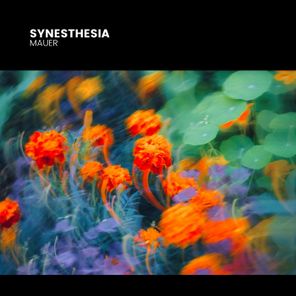 MAUER – Synesthesia