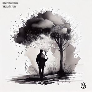 Renal Shamsutdinov – Through The Storm