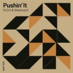 N.O.Y, Sheimus K - Pushin' It 3 N.O.Y, Sheimus K – Pushin’ It