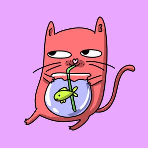 Chill Kitten, Alter Cooker – Old friend