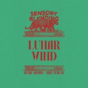 Jimi Tenor, Aura Safari – Lunar Wind