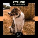 CyFunk – Melting Summer