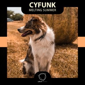 CyFunk – Melting Summer