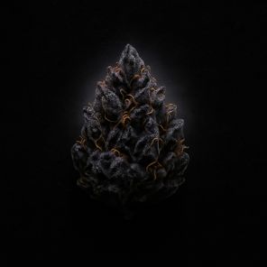 Don Peligro – Forbidden Deep