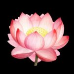 Jim Carson – Angel Melodies