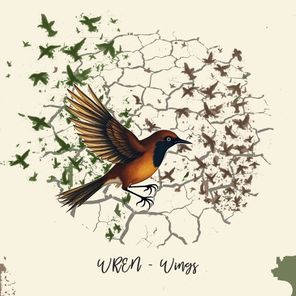 WREN, Amadou Suso – Wings