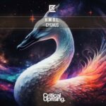 H.M.B.L. – Cygnus