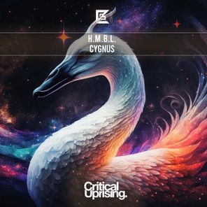 H.M.B.L. – Cygnus
