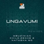 Sound minds Muzik, AndileAndy – Ungavumi (Remixes)