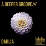 A Deeper Groove – Dahlia