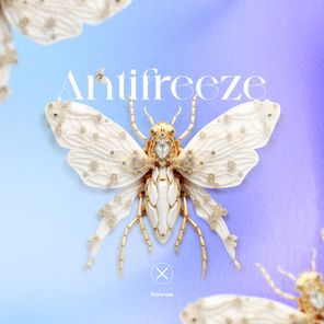 Kinree – Antifreeze