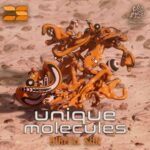 Digital Sun – Unique Molecules