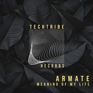 ARMATE – Meaning of My Life