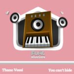 Thano Vessi – You can’t hide