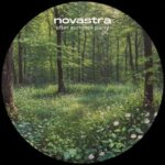 novastra – after summer party