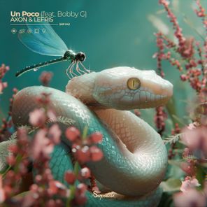 Bobby G, AXON :) – Un Poco
