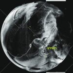 Altberg - Cosmic Limbo 3 Altberg – Cosmic Limbo