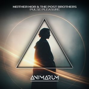 Neither Nor, The Post Brothers – Pulse Pleasure