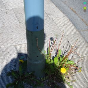 Bearcubs, Mulay – Breathin’