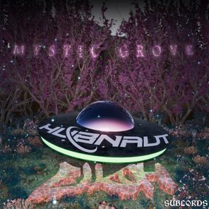 ELKOH, HUBNAUT – Mystic Grove
