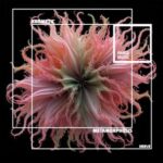 Krometic – Metamorphosis