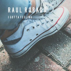 Raul Robado – I Gotta Feeling