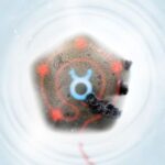 Adam Pits – Taurus EP