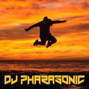 DJ Pharasonic – It Feels so Good