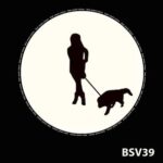 Resilient – The Pattern