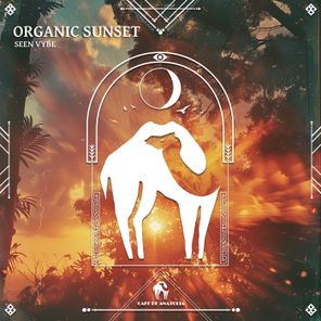Cafe De Anatolia, sEEn Vybe – Organic Sunset